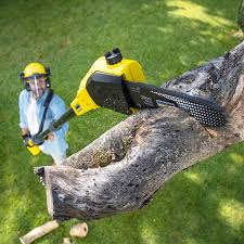 Best Organic Lawn Care Solutions  in Garfield Heights, OH